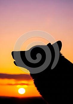 White studio backdrop with a cylindrical and a cubic object. The cylinder is taller and