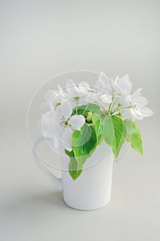 White style elongated porcelain mug full of white blooming flowers with green fresh leaves. The cup is used as a vase. Idea for