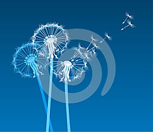 White stylized dandelions in the wind