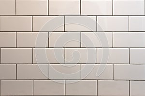 White Subway Tile With Black Grout