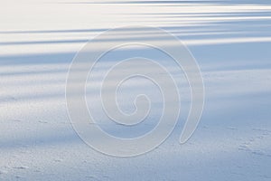 white sunny snow background with blue shadows