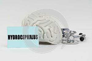 On a white surface next to the brain there is a stethoscope and stickers with the inscription - Hydrocephalus