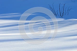 white surface of snow and shadows on it