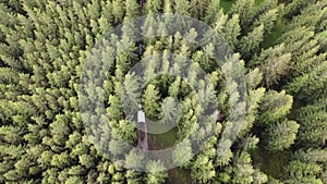 White SUV rides on a mountainous terrain on a dirt road in trees.Aerial view.