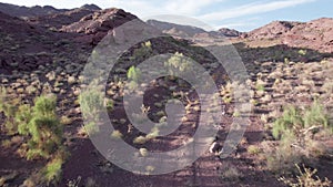 A white SUV rides among the red mountains