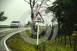 White SUV rounding corner of rural road in fog with cow warning sign in foreground - Eastern Europe