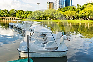 White Swan Boat on the lake at Chatuchak Public Park