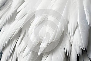 White Swan Feathers Background, Goose Plume Pattern, Generative Ai Illustration