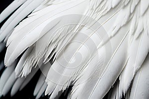 White Swan Feathers Background, Goose Plume Pattern, Generative Ai Illustration