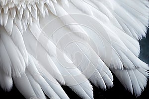 White Swan Feathers Background, Goose Plume Pattern, Generative Ai Illustration