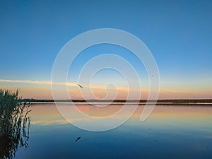 White swans on the nature of the reservoir