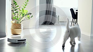 A white Swiss Shepherd puppy playfully reacts to a robot vacuum cleaner. The little white puppy is playing with a robot