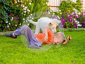 White Swiss Shepherd`s puppy and kid playing together on green g photo