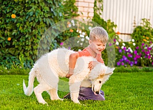 White Swiss Shepherd`s puppy and kid playing together on green g photo