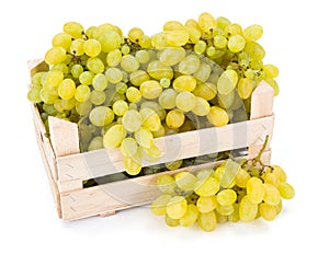 White table grapes (Vitis) in wooden crate photo