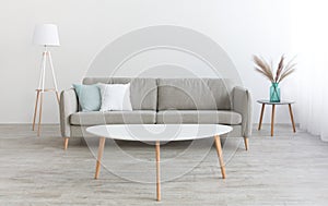 White table, modern sofa with white and blue pillows, lamp and vase with dry plants at home with gray walls