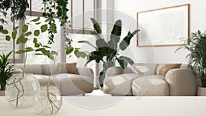 White table top or shelf with glass vase with hydroponic plant, ornament, root of plant in water, branch in vase, house plant,