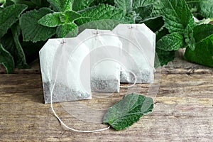 White tea bags with mint leaves