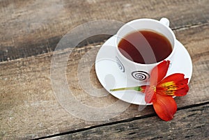 White Tea Cup Orange Red Flower Alstromeria Astromeria over Rustic Wooden Background. Copy space