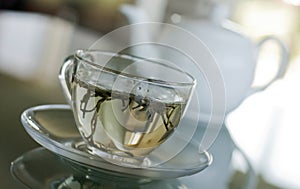 White Tea in transparent cup