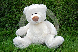 White teddy-bear