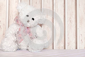 White teddy bear