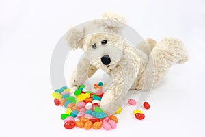 White Teddy Bear With Colorful Candies