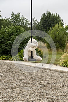 White teddy bear, doing the zip line, in the middle of nature