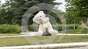 White teddy bear, doing the zip line, in the middle of nature