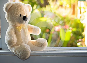 white Teddy Bear sitting alone on white window,vintage