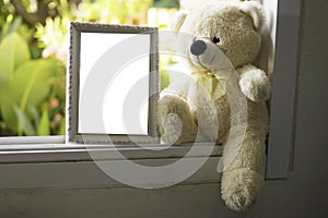 white Teddy Bear sitting alone on white window,vintage