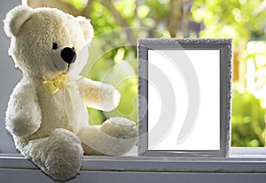 white Teddy Bear sitting alone on white window,vintage