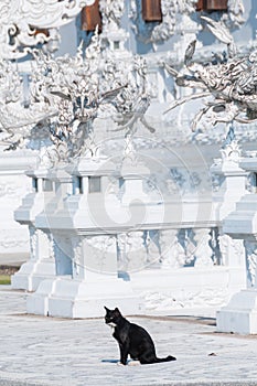 White Temple, Chiang Rai Thailand