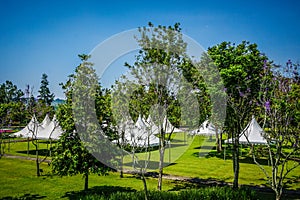 White tent on the green park empty with big green tree - photo indonesia