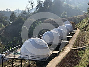 White tent for guests are hosted on wooden podium on camping photo