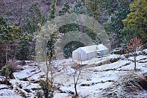 White Tent Hut with White Snow All Around on Ground and Trees covered by Snow - Landscape in Winter in Himalayan Village, India