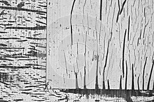 White texture abstract strips photo