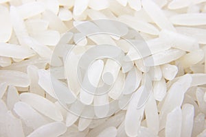 White Thai jasmine rice grains by macro