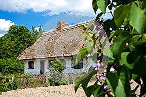 White thatched roof cottage, in a country garden with blue, cloud sky.