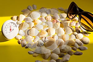 White thermometer with a temperature of +26 degrees Celsius, sunglasses and a lot of different seashells on a yellow background