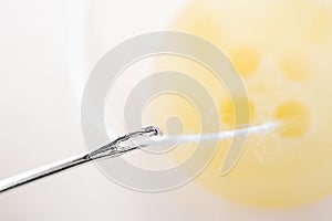 White thread in a needle, in the background - a button.