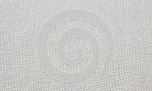 White threaded textile pattern, neutral backdrop for product displays, AI illustration