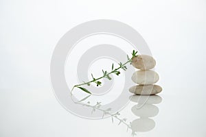 White three stack stone with green plant still life in zen wellness health spiritual concept