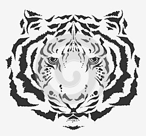 White tiger