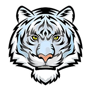 White tiger