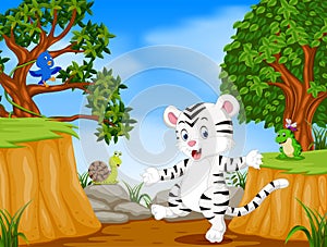 White tiger and bird with mountain cliff scene