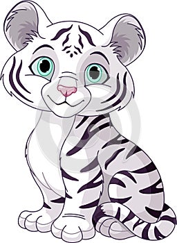 White tiger cub