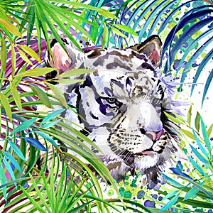 White tiger illustration. Tropical exotic forest, white tiger, green leaves, wildlife, watercolor illustration.