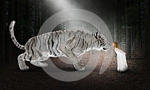 White Tiger, Imagination, Nature, Kiss