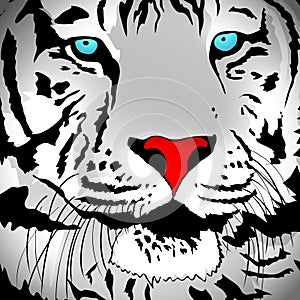 White Tiger Portrait